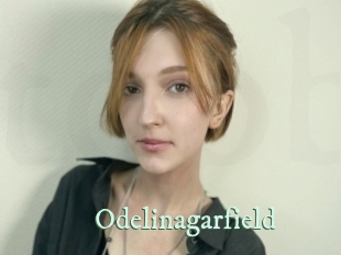 Odelinagarfield