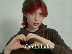 Odellahakes