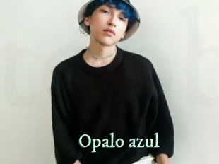 opalo_azul Top Blog X