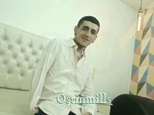 Ostinmills