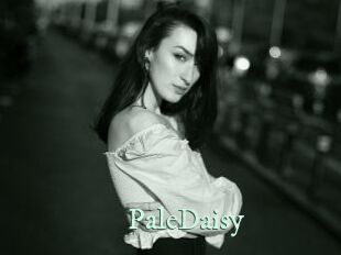 PaleDaisy
