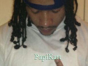 PapiKatt