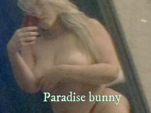 Paradise_bunny