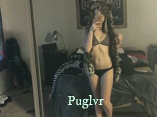 Puglvr