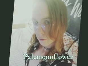 Palemoonflower