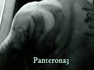 Panterona3
