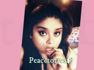 peacetorres18 Top Blog X