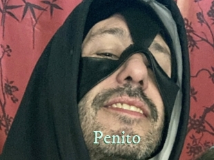penito Top Blog X
