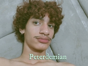 peterdemian Top Blog X