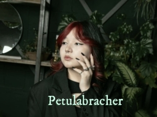 Petulabracher