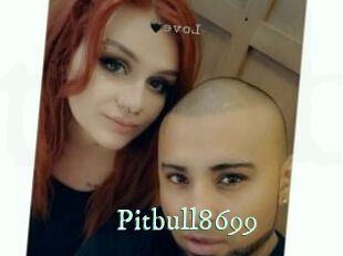 Pitbull8699