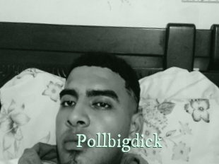 Pollbigdick