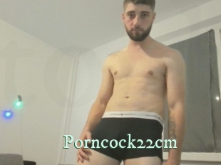 Porncock22cm