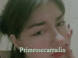 Primrosecarradin