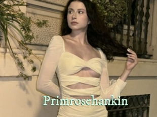 Primrosehankin