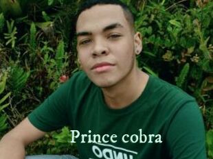 Prince_cobra