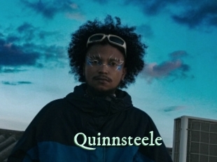 quinnsteele Top Blog X