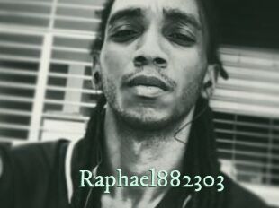 Raphael882303