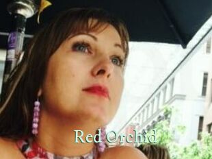 Red_Orchid