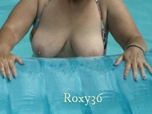 roxy36 Top Blog X