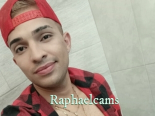 raphaelcams Top Blog X