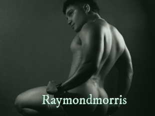 raymondmorris Top Blog X
