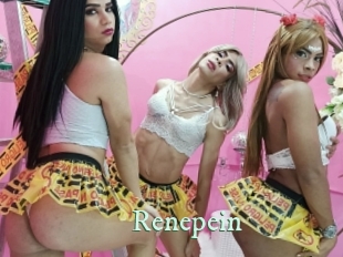 renepein Top Blog X
