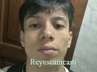 reyescamcam Top Blog X