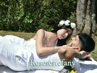 rosesestefany Top Blog X