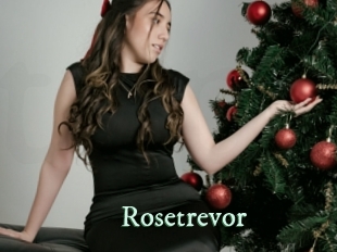 rosetrevor Top Blog X