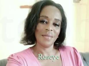 roseye Top Blog X