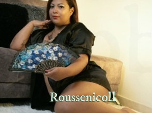 roussenicoll Top Blog X