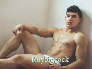 Roybigcock