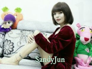 SandyJun Top Blog X
