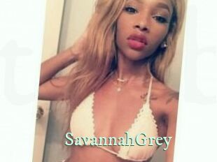 Savannah_Grey