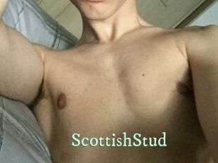 Scottish_Stud