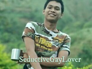SeductiveGayLover