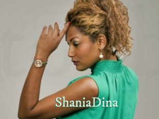 ShaniaDina Top Blog X