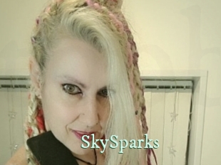 SkySparks Top Blog X