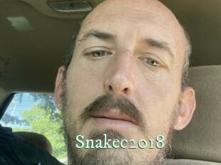 Snakec2018