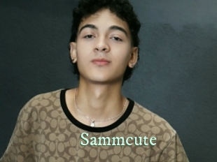 sammcute Top Blog X