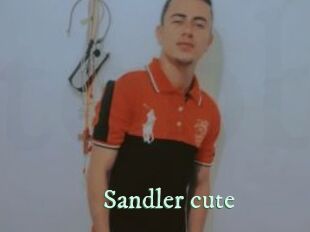 Sandler_cute