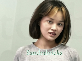 Sandrabricks