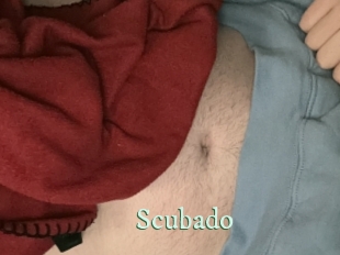 scubado Top Blog X