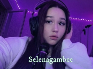 Selenagambee