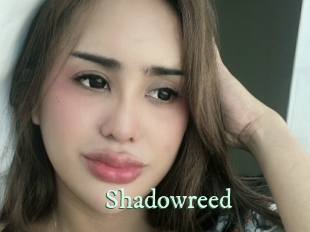 shadowreed Top Blog X