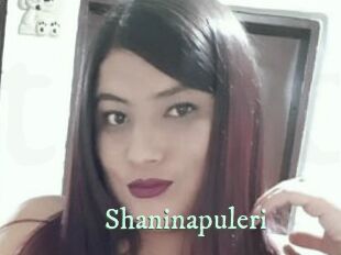 Shaninapuleri