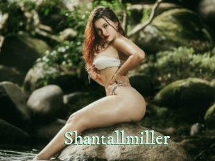 shantallmiller Top Blog X