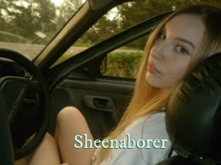 sheenaborer Top Blog X