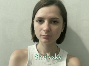 shelysky Top Blog X